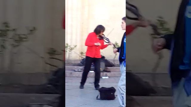 Обычный вечер СПБ смотреть онлайн