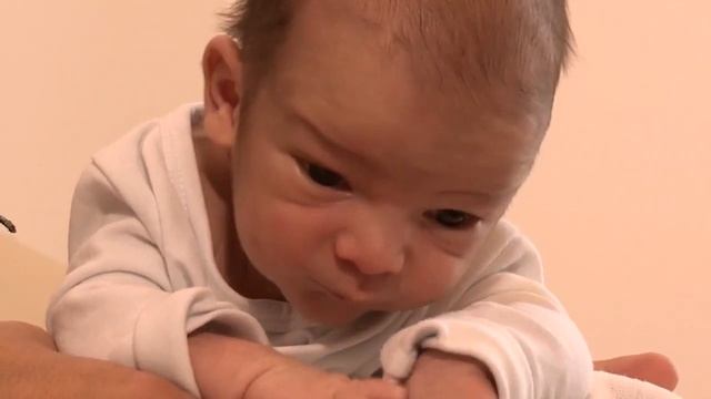 Когда лежит на животе, поднимает голову смотреть онлайн