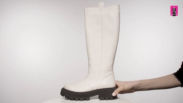 Видеообзор I Женские сапоги TENDANCE 2960760 смотреть онлайн