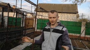 Формируем колоновидные плодовые деревья! Яблоню, грушу, черешню, сливу, вишню, абрикос, персик и др