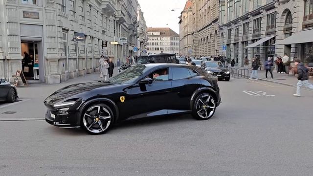 Purosangue in Zürich смотреть онлайн