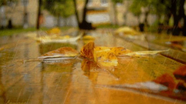 Стихи Булата Окуджава. Дождик осенний поплачь обо мне... смотреть онлайн