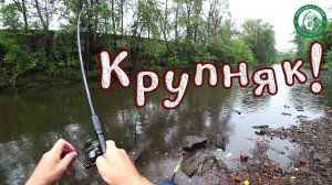 КРУПНЫЙ КАРАСЬ НА САЛО С ЧЕСНОКОМ И НА ЧЕРВЯ, РЫБАЛКА НА ДОНКУ И ПОПЛАВОЧКУ В ДОЖДЬ, ЛОВИМ НА УРАЛЕ!