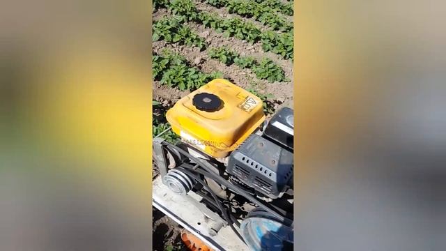 Окучивание картофеля мотоблоком Нева МБ-1, в один ряд. смотреть онлайн