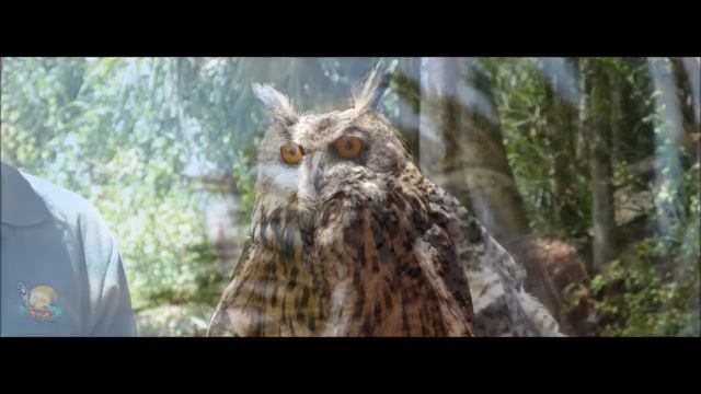 Fuerteventura HD pics.Canon powershot sx130is. смотреть онлайн