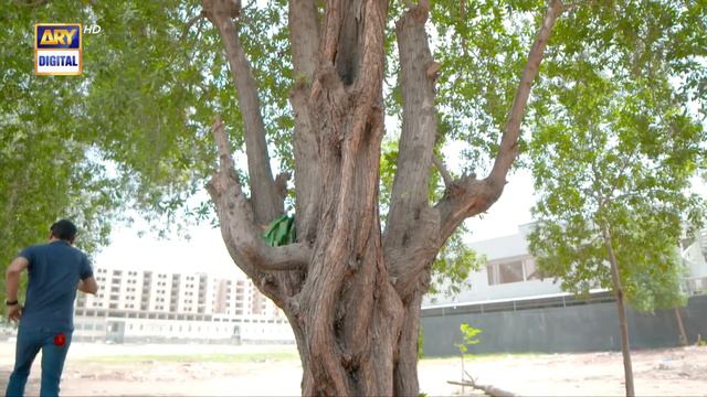 Bulbulay Season 2 Episode 159 | 17th July 2022 | ARY Digital Drama