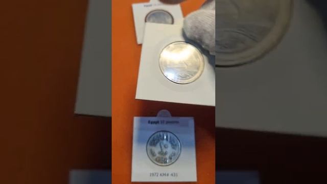 Что такое монета-мул, гибрид или перепутка? #Shorts смотреть онлайн