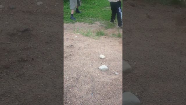 vova beton (boec) смотреть онлайн