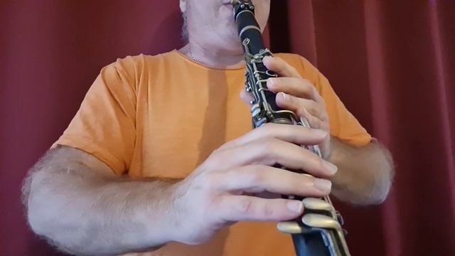 Как играть на Кларнете Abi Gezunt для начинающих смотреть онлайн