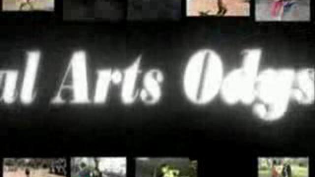 БОЕВЫЕ ИСКУССТВА (Martial Arts Odyssey MMA Taiwa4/4) смотреть онлайн