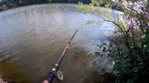 Рыбалка на карпа летом. На что ловить карпа в жару? Карпфишинг на платнике