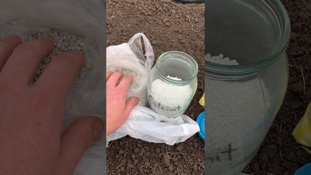 Удобрения, нормы внесения, и посадка лука на перо. смотреть онлайн