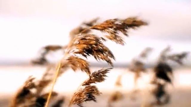 Teci, Teci Vodo živa