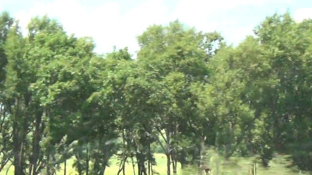 ❤️VLOG: Поездка на море на машине❤️ смотреть онлайн