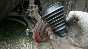 ВЕЧНЫЙ ПЫЛЬНИК ШРУСа