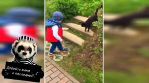 СПРОСИ, КАК  У НЕЁ ДЕЛА, У КОШЕЧКИ...?! :-)