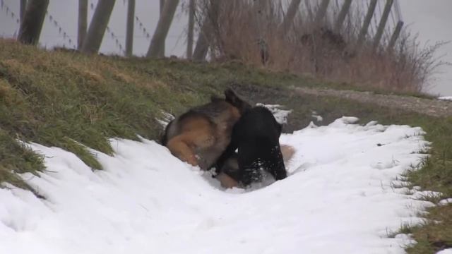 Maxi – der Film смотреть онлайн