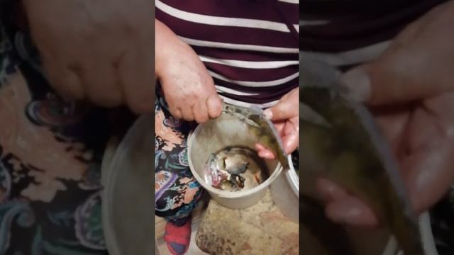 Окунь, как правильно чистить, лайфхак))) смотреть онлайн