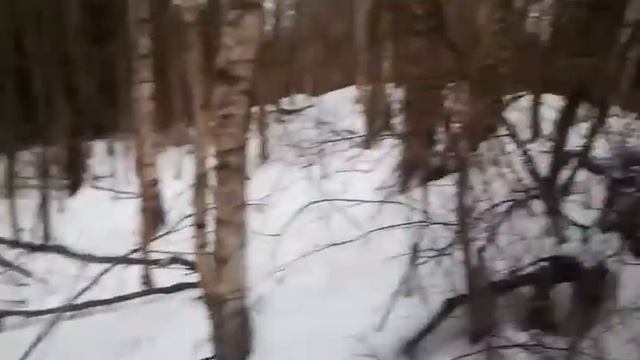 На охоте с русской гончей!Добыча лисы! смотреть онлайн