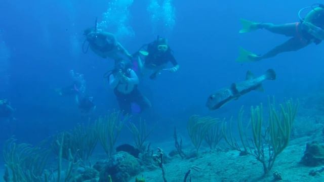 ActionQuest Vega Voyage - Introductory Sailing, Scuba, And Marine Biology Camp For Teens