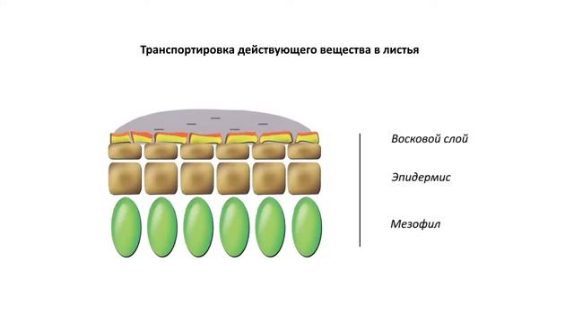 CVS – Система управления вегетацией смотреть онлайн