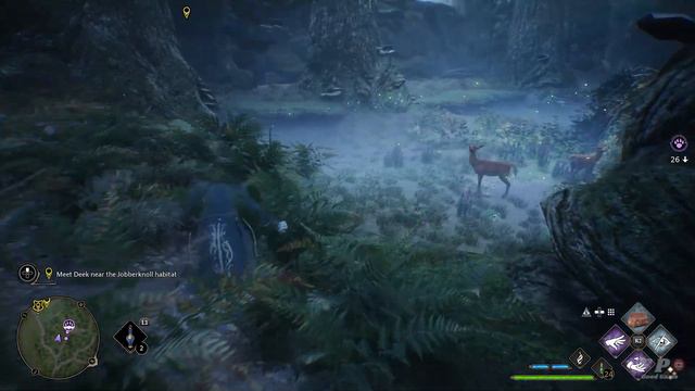 Hogwarts Legacy How To Capture Unicorn смотреть онлайн