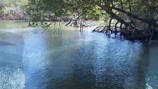 Доминиканская Республика Октябрь 2017 Olga Kirchgessner смотреть онлайн