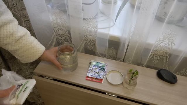 Домашнее видео Хроника Елочка убрана Супчик лапша с грибами смотреть онлайн