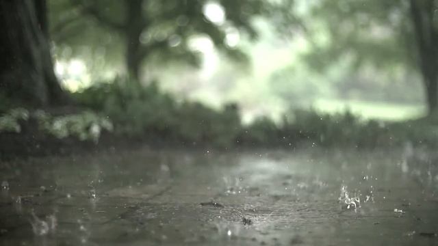 мелодия дождя   Rain Melody