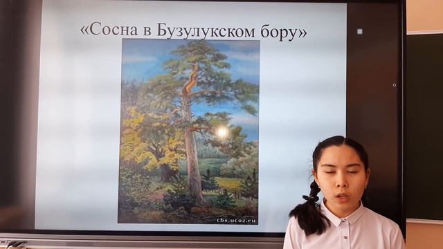 Сосна в Бузулукском бору смотреть онлайн