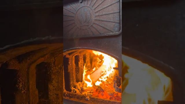 Березовые дрова камерной сушки смотреть онлайн