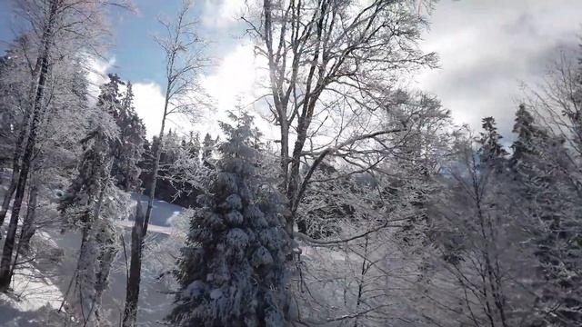 Зимнее настроение Красивая музыка под падающей снег Пора романтики и вдохновения Для настроения