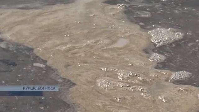 Пляжная химия смотреть онлайн