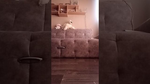 Сказка Два весёлых мальчика смотреть онлайн