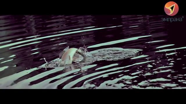 Рыбалка: бешеный клев, отличный улов и размеренный отдых на природе! смотреть онлайн