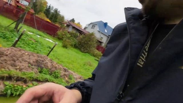 Живы ли дачные монстры? смотреть онлайн