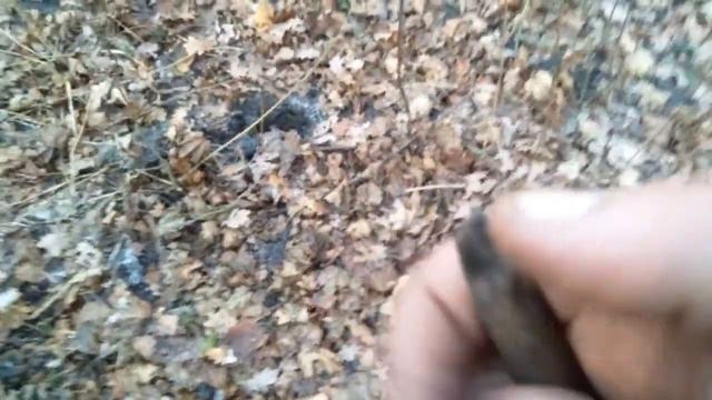 ПОИСК МОНЕТ ВДОЛЬ СТАРИННОГО ТРАКТА смотреть онлайн