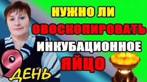 Нужно ли ОВОСКОПИРОВАТЬ при инкубации яиц.