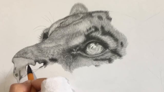 Рисуем кошечку (реалистичный рисунок леопарда) смотреть онлайн