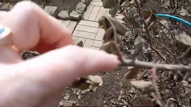Дача после половодья...оцениваю масштаб трагедии смотреть онлайн