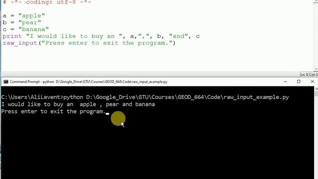 raw input() to pause the program on cmd смотреть онлайн