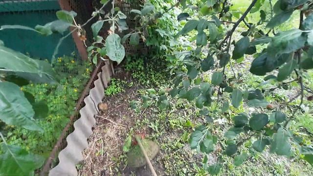 Бензокосилка в деле - Часть 2 смотреть онлайн