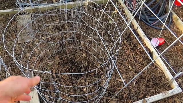 How to Protect Your Garden from Dogs & Other Animals: Manage Down Damage with Simple Fence Cylinder смотреть онлайн