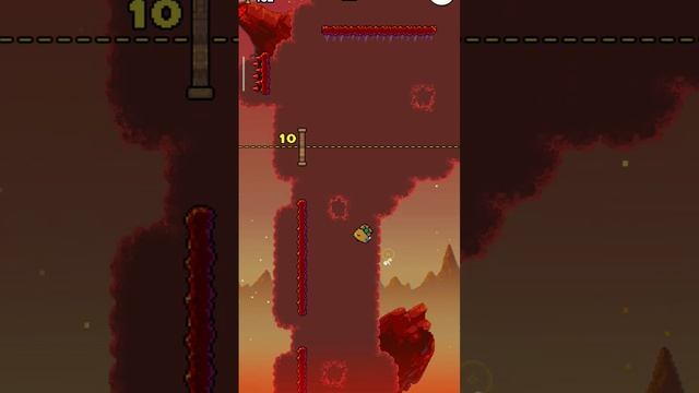 #shorts #капибара #какибара ? смотреть онлайн