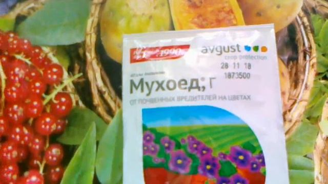 Мухоед -препарат для борьбы с почвенными мушками. смотреть онлайн