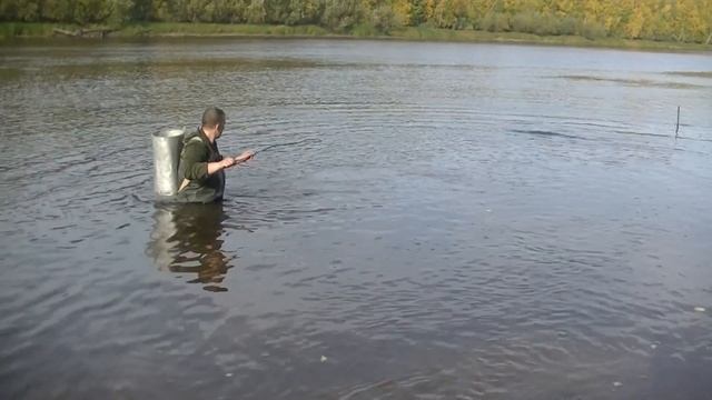 Осенняя Рыбалка На Налима На Реке, На Донки-Самоловки! смотреть онлайн