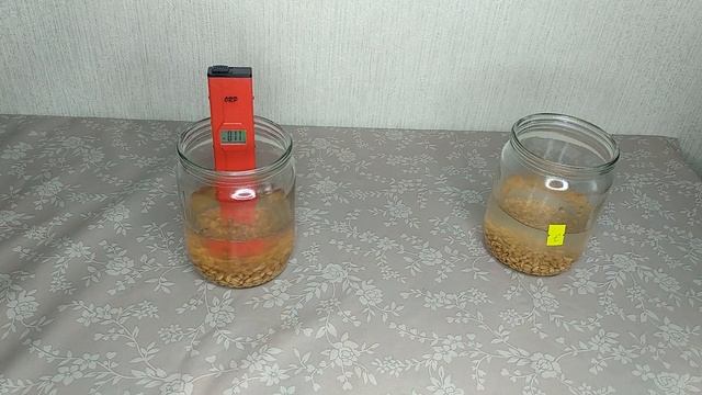 Хранение восстановительной воды / Хранение в термосе / Заливка основы теплой водой смотреть онлайн