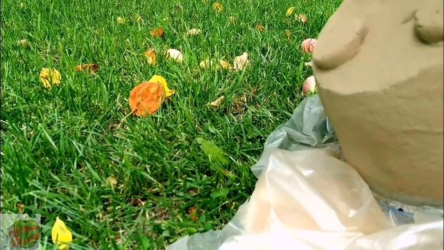 Из яичных упаковок смотреть онлайн