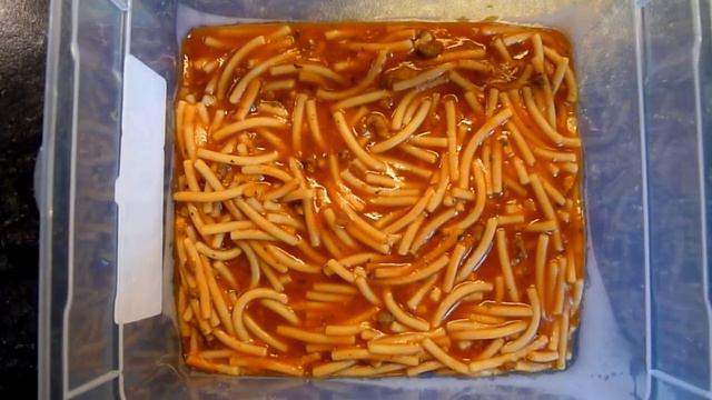 Maggi Spaghetti Bolognese - Gammeltest - Tag 1 смотреть онлайн