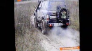 Чёрные копатели в Бушнево